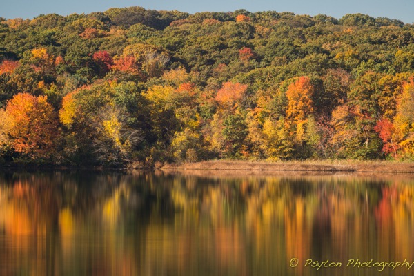 Fall Colors